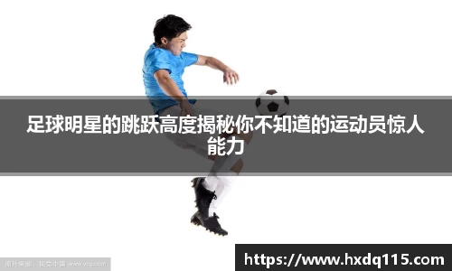 k1体育